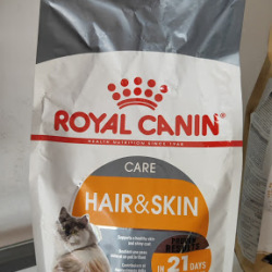 A2Z Pet Care Manjeri