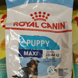 A2Z Pet Care Manjeri